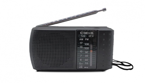RADIO PORTATIL AM-FM 2 BANDAS LEDSTAR MODELO ICF-8