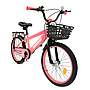 BICICLETA RANDERS RODADO 20 CON PARRILLA Y CANASTO
