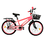 BICICLETA RANDERS RODADO 20 CON PARRILLA Y CANASTO ROSA